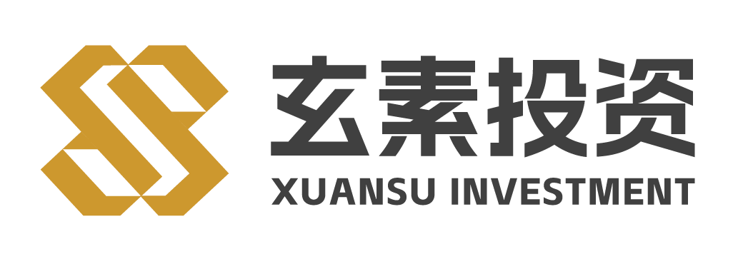 玄素投资